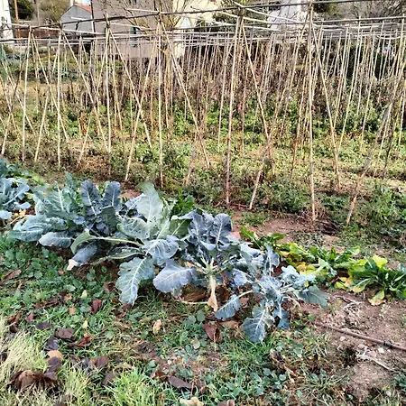 L'hostatgeria Estany